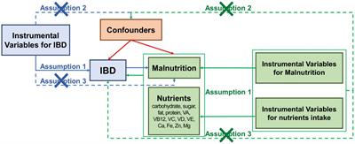 Exploring causal association between malnutrition, nutrients intake and inflammatory bowel disease: a Mendelian randomization analysis